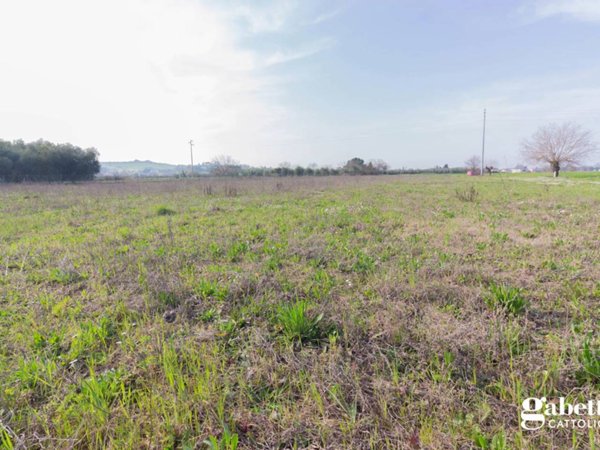 terreno agricolo in vendita a San Giovanni in Marignano
