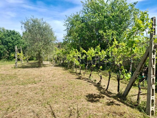 terreno agricolo in vendita a San Giovanni in Marignano