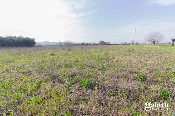 terreno a San Giovanni in Marignano in zona Santa Maria in Pietrafitta