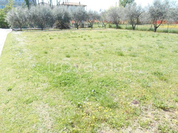 terreno edificabile in vendita a Santarcangelo di Romagna