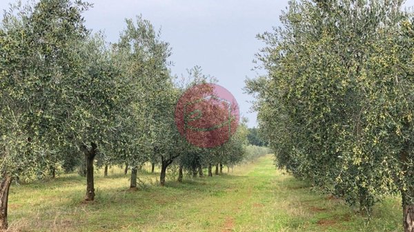 casa indipendente in vendita a Santarcangelo di Romagna in zona Sant'Ermete