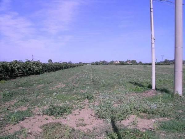 terreno agricolo in vendita a Santarcangelo di Romagna in zona Sant'Ermete