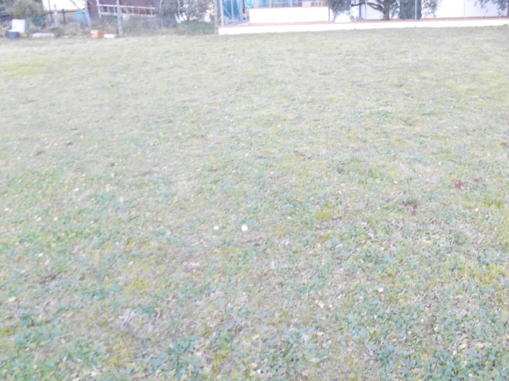 terreno edificabile a Santarcangelo di Romagna in zona San Martino dei Mulini