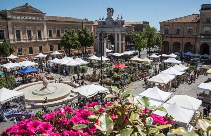 negozio in vendita a Santarcangelo di Romagna