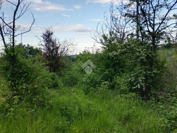 terreno agricolo in vendita a Santarcangelo di Romagna in zona Sant'Ermete