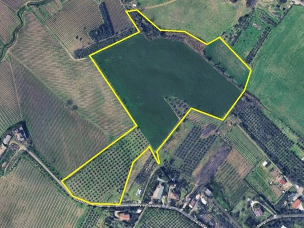 terreno agricolo in vendita a Santarcangelo di Romagna