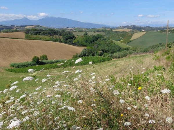 terreno agricolo in vendita a Santarcangelo di Romagna