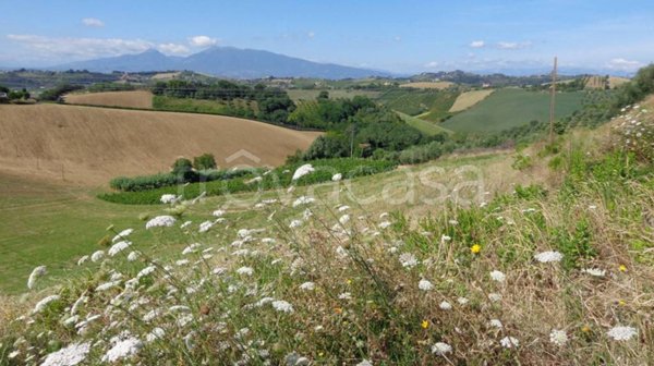 terreno agricolo in vendita a Santarcangelo di Romagna