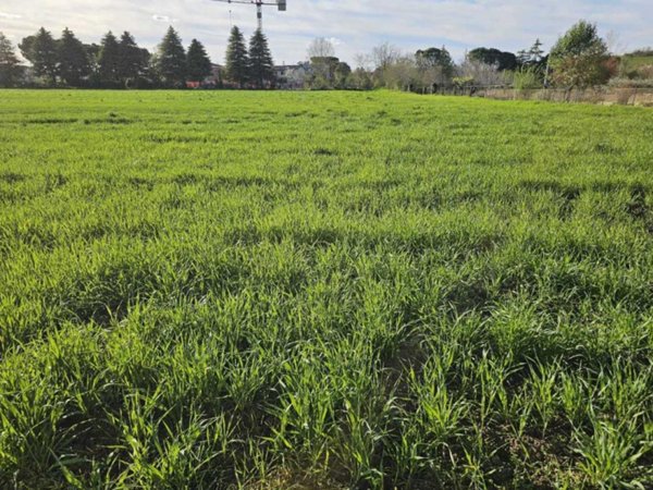 terreno agricolo in vendita a Santarcangelo di Romagna