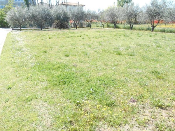 terreno agricolo in vendita a Santarcangelo di Romagna