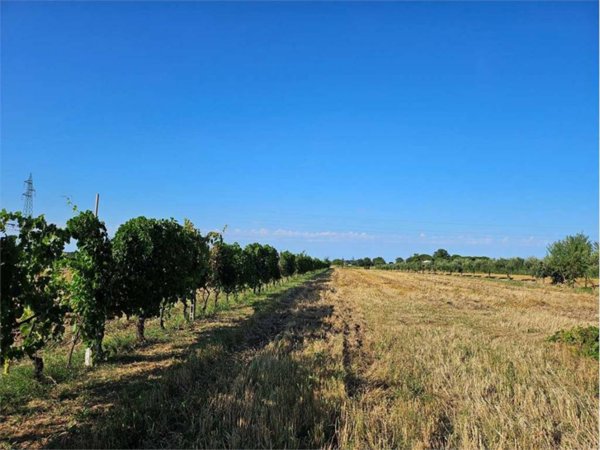 terreno agricolo a Santarcangelo di Romagna in zona San Martino dei Mulini