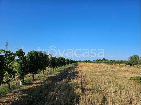 terreno agricolo a Santarcangelo di Romagna in zona San Martino dei Mulini