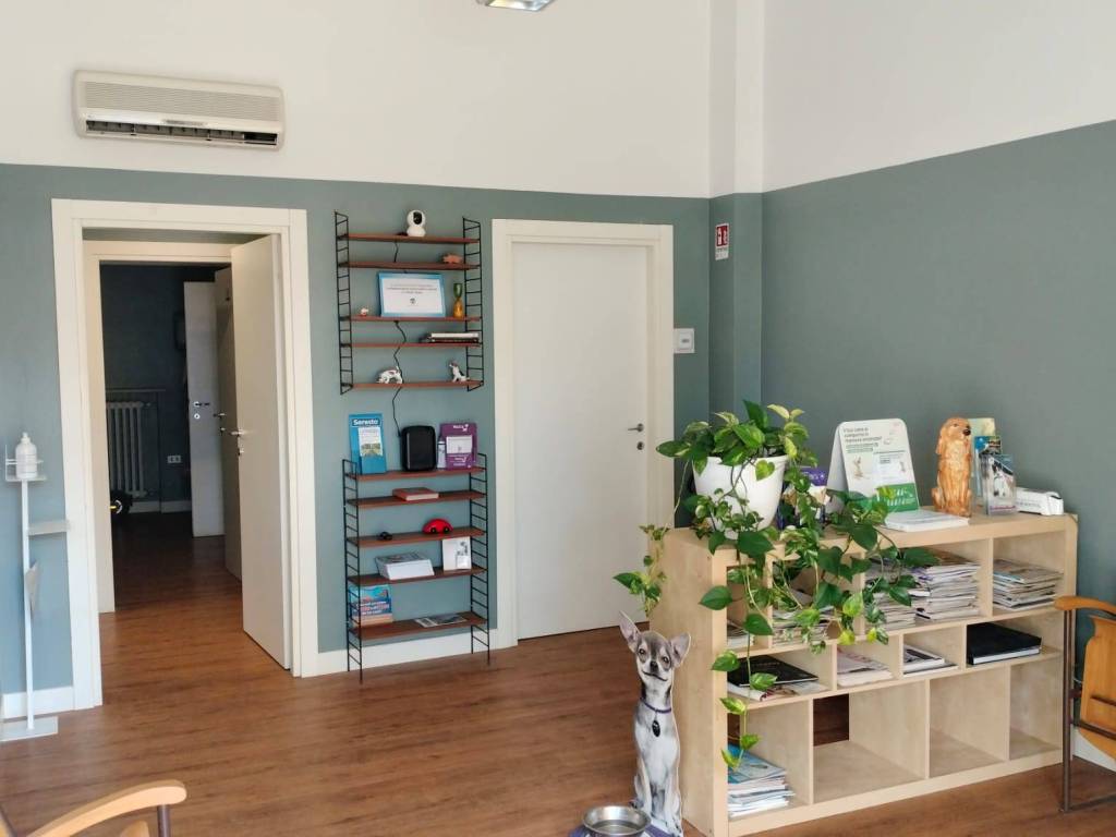 negozio in vendita a Santarcangelo di Romagna