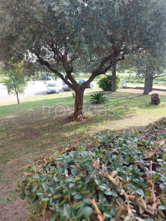 casa indipendente in vendita a Santarcangelo di Romagna