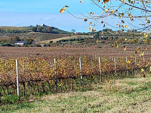 appartamento in vendita a Santarcangelo di Romagna