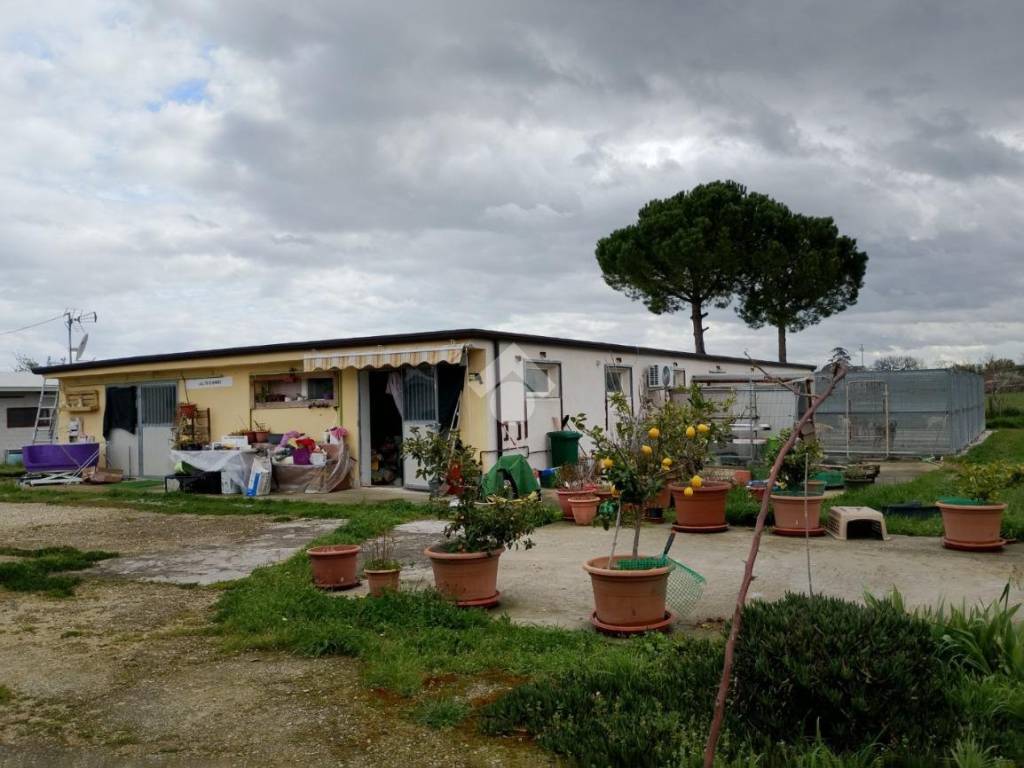 locale commerciale in vendita a Santarcangelo di Romagna