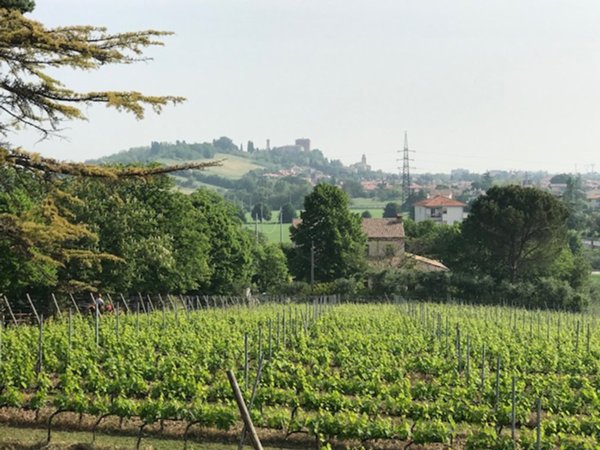 casa indipendente in vendita a Santarcangelo di Romagna