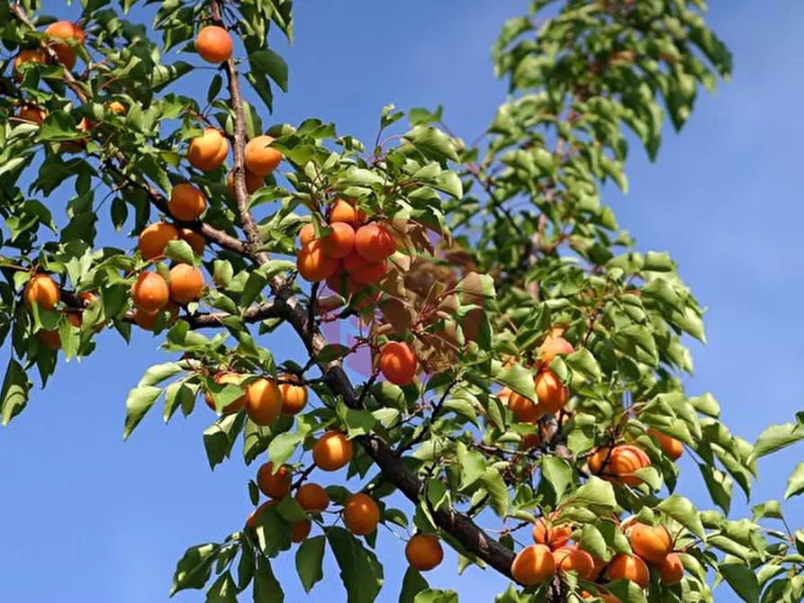 mansarda in vendita a Santarcangelo di Romagna