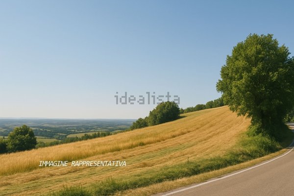 terreno agricolo in vendita a Verucchio in zona Cantelli