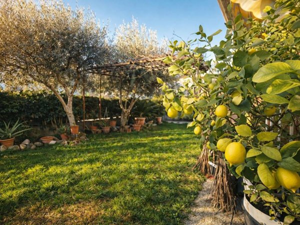 appartamento in vendita a Verucchio