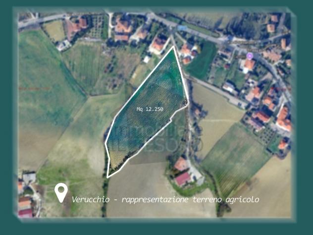 terreno agricolo in vendita a Verucchio in zona Cantelli