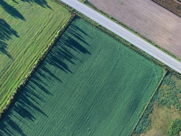 terreno agricolo in vendita a Verucchio