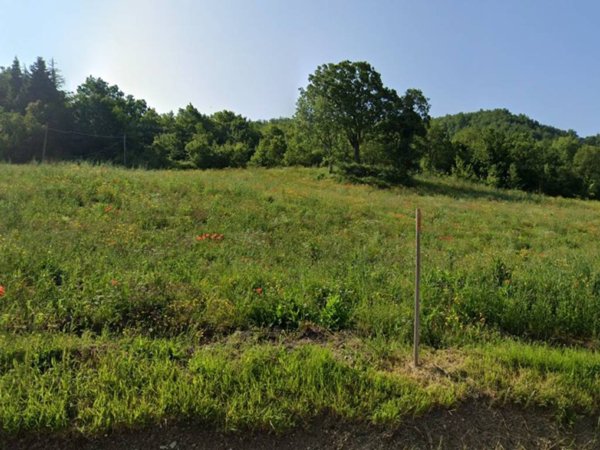 terreno agricolo in vendita a Maiolo