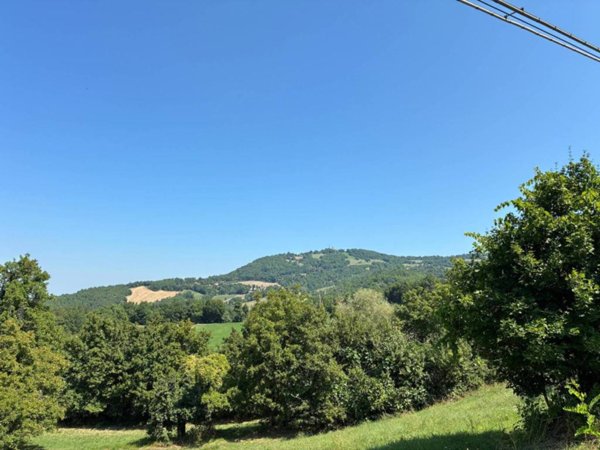 terreno agricolo in vendita a Maiolo