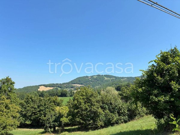 terreno agricolo in vendita a Maiolo