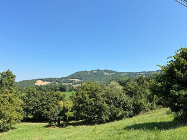 terreno agricolo in vendita a Maiolo in zona Campolungo