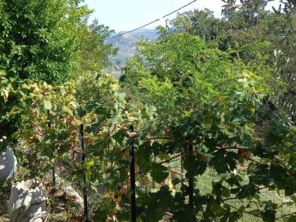 appartamento in vendita a Novafeltria in zona Perticara