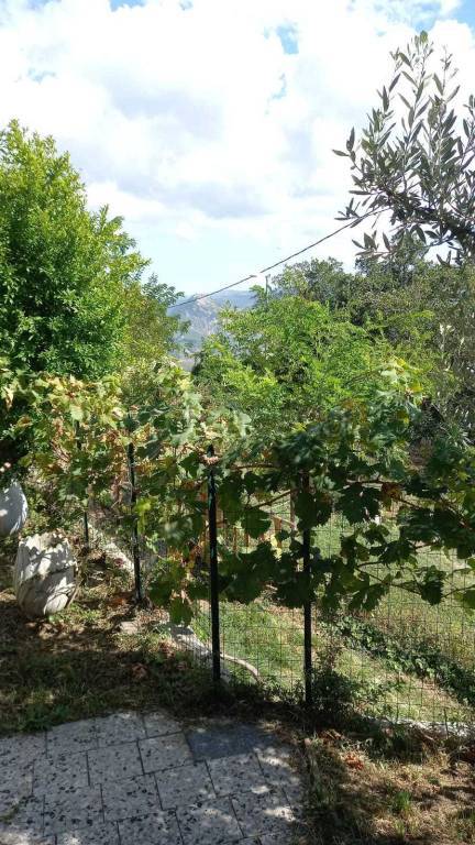 appartamento in vendita a Novafeltria