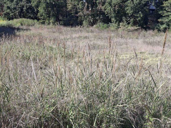 terreno edificabile in vendita a Novafeltria in zona Secchiano Marecchia