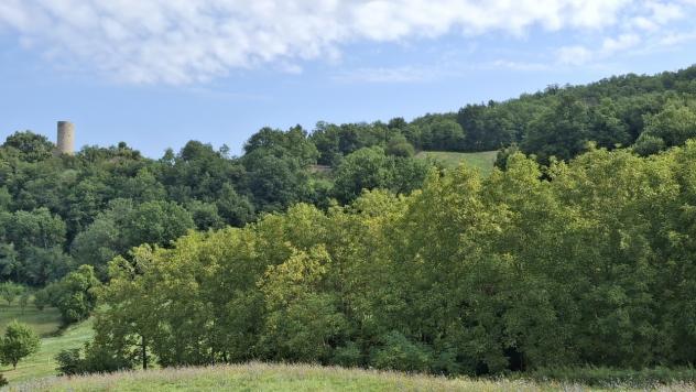terreno agricolo in vendita a Pennabilli in zona Maciano