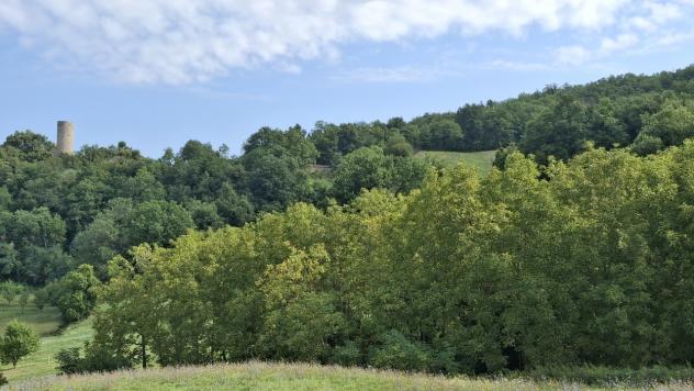 terreno agricolo in vendita a Pennabilli in zona Maciano