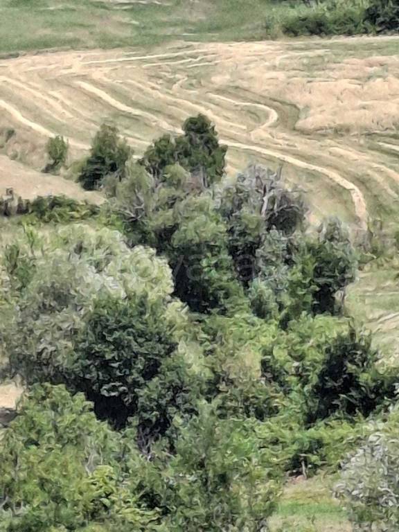 appartamento in vendita a San Leo