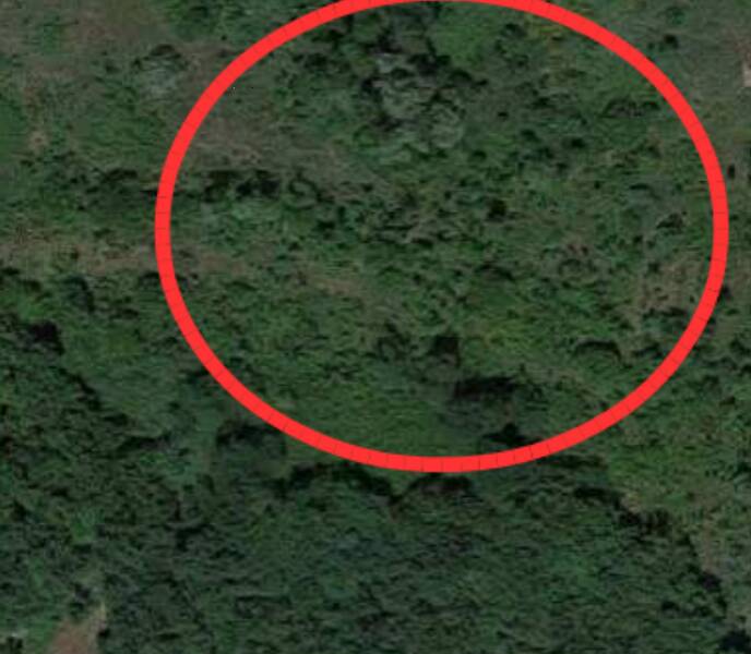 terreno agricolo in vendita a San Leo