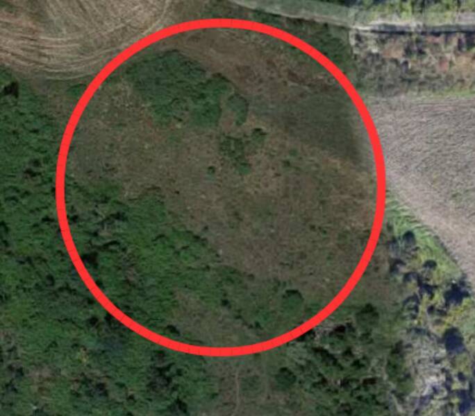 terreno agricolo in vendita a San Leo