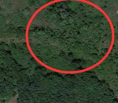 terreno agricolo in vendita a San Leo