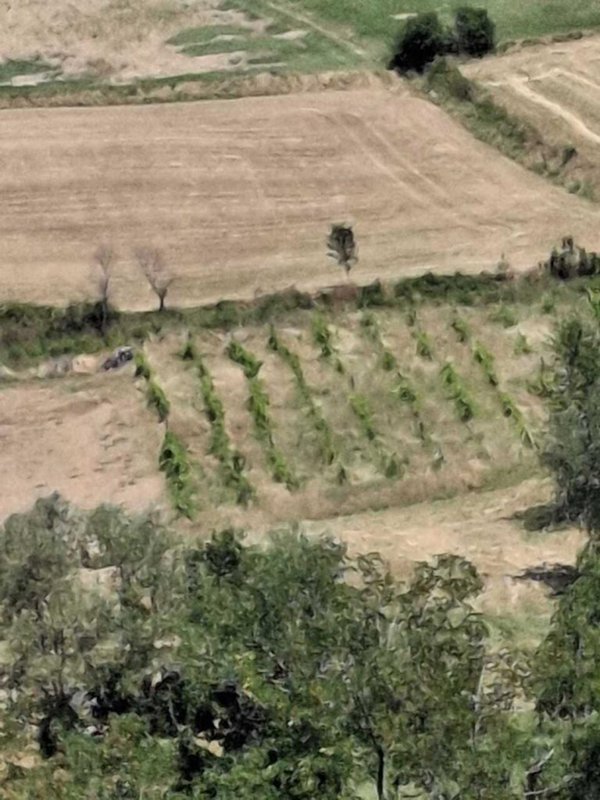 appartamento in vendita a San Leo