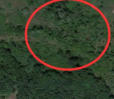 terreno agricolo in vendita a San Leo