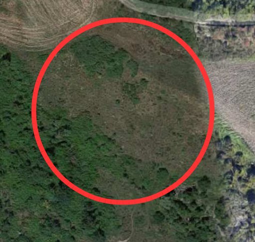 terreno agricolo in vendita a San Leo