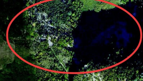 terreno agricolo in vendita a San Leo