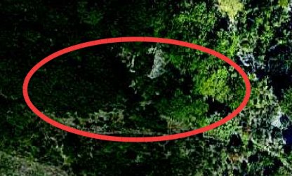 terreno agricolo in vendita a San Leo