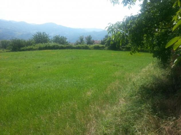 terreno edificabile in vendita a Sant'Agata Feltria