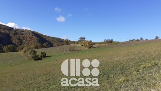 terreno agricolo in vendita a Sant'Agata Feltria in zona Rivolpaio