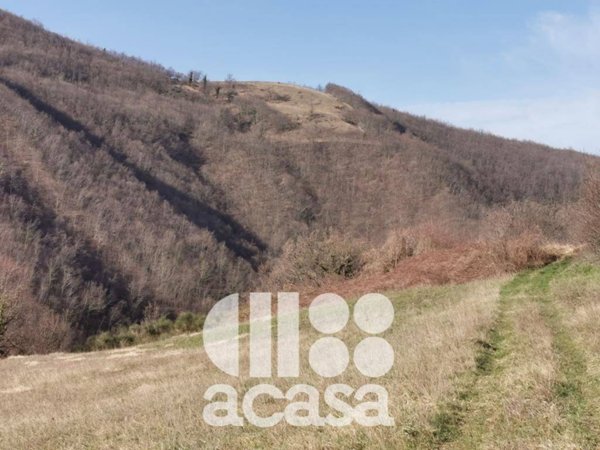 terreno agricolo in vendita a Sant'Agata Feltria in zona Rivolpaio