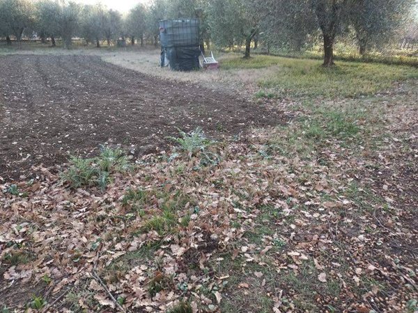 terreno agricolo in vendita a Poggio Torriana in zona Torriana
