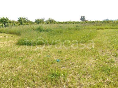terreno edificabile in vendita a Poggio Torriana in zona Poggio Berni
