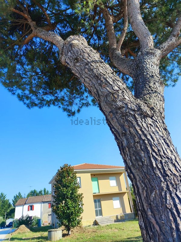 appartamento in vendita a Poggio Torriana in zona Camerano